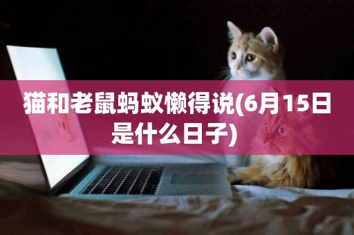 貓和老鼠螞蟻懶得說(6月15日是什么日子) 