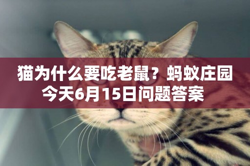 貓為什么要吃老鼠？螞蟻莊園今天6月15日問題答案 