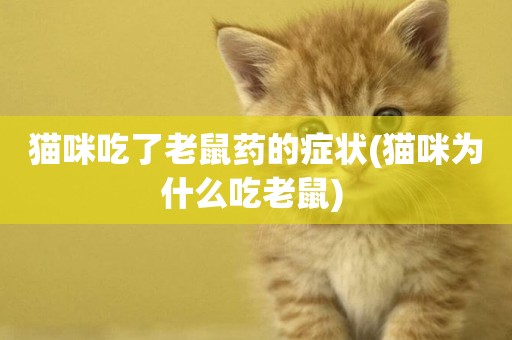 貓咪吃了老鼠藥的癥狀(貓咪為什么吃老鼠) 