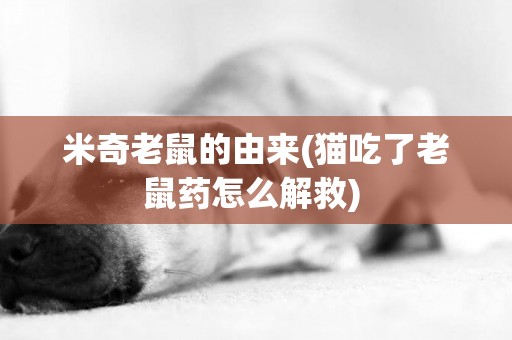米奇老鼠的由來(貓吃了老鼠藥怎么解救) 