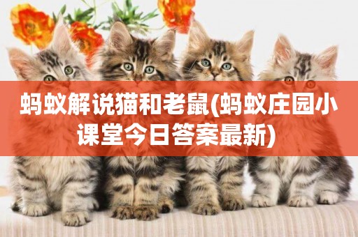 螞蟻解說貓和老鼠(螞蟻莊園小課堂今日答案最新) 