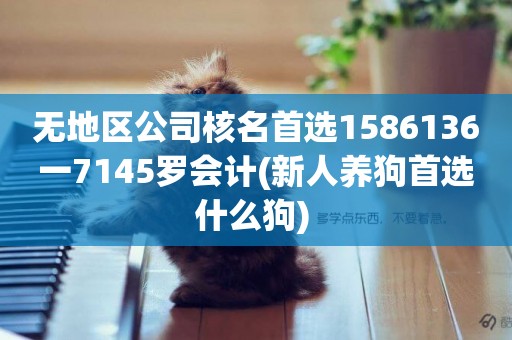 無地區公司核名首選1586136一7145羅會計(新人養狗首選什么狗) 