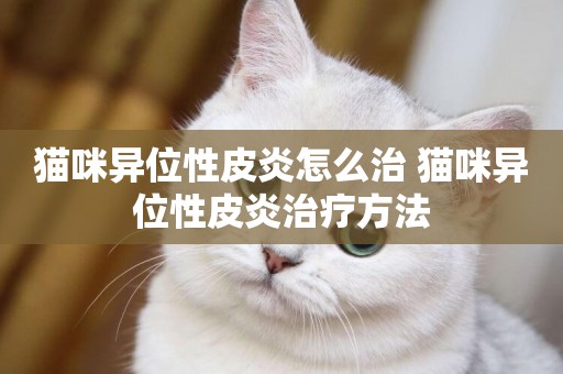 貓咪異位性皮炎怎么治 貓咪異位性皮炎治療方法