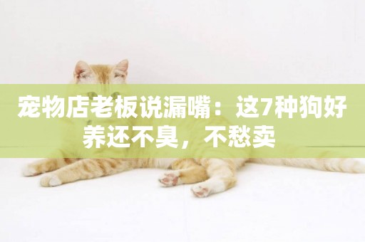 寵物店老板說漏嘴：這7種狗好養還不臭，不愁賣 