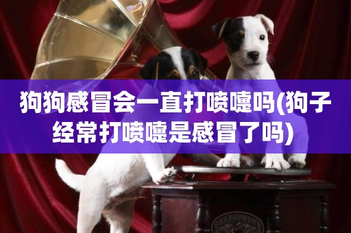 狗狗感冒會一直打噴嚏嗎(狗子經常打噴嚏是感冒了嗎) 