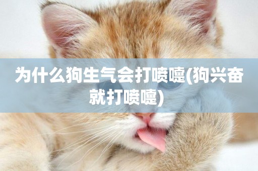 為什么狗生氣會打噴嚏(狗興奮就打噴嚏) 