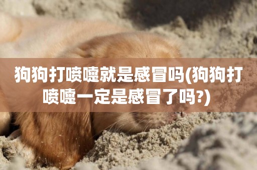 狗狗打噴嚏就是感冒嗎(狗狗打噴嚏一定是感冒了嗎?) 