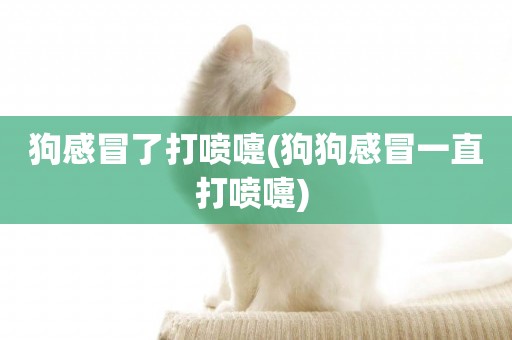 狗感冒了打噴嚏(狗狗感冒一直打噴嚏) 