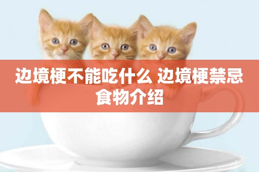 邊境梗不能吃什么 邊境梗禁忌食物介紹