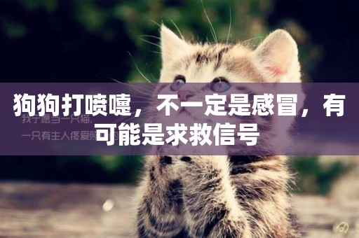 狗狗打噴嚏，不一定是感冒，有可能是求救信號 