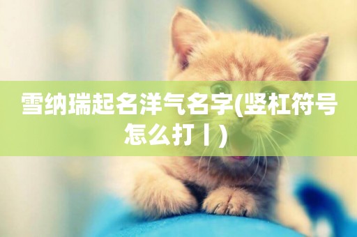 雪納瑞起名洋氣名字(豎杠符號怎么打丨) 