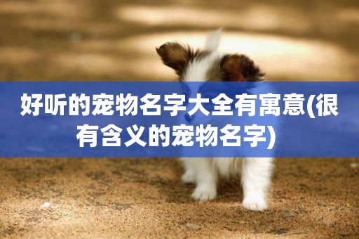 好聽的寵物名字大全有寓意(很有含義的寵物名字) 