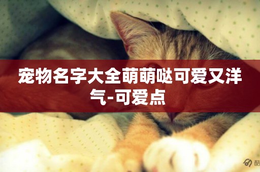 寵物名字大全萌萌噠可愛又洋氣-可愛點 