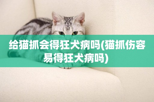 給貓抓會得狂犬病嗎(貓抓傷容易得狂犬病嗎) 