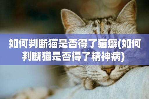 如何判斷貓是否得了貓癬(如何判斷貓是否得了精神病) 