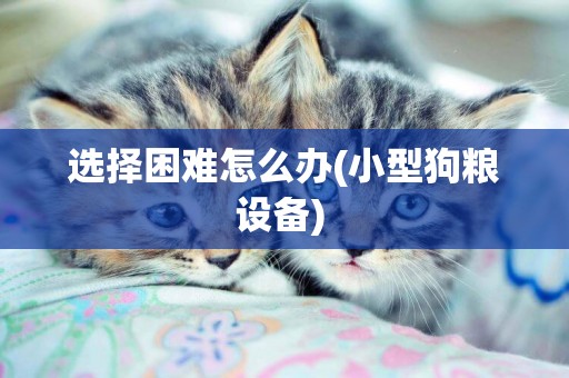 選擇困難怎么辦(小型狗糧設備) 