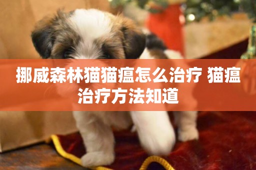 挪威森林貓貓瘟怎么治療 貓瘟治療方法知道