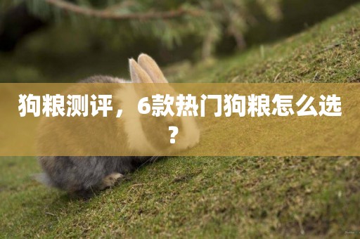 狗糧測評，6款熱門狗糧怎么選？ 