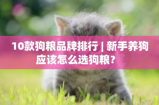 10款狗糧品牌排行 | 新手養狗應該怎么選狗糧？ 