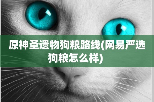 原神圣遺物狗糧路線(網易嚴選狗糧怎么樣) 