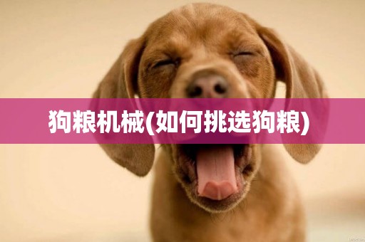 狗糧機械(如何挑選狗糧) 