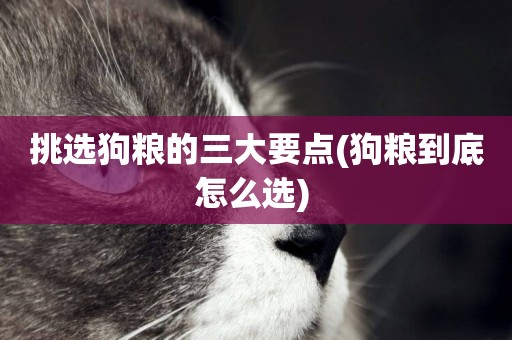 挑選狗糧的三大要點(狗糧到底怎么選) 