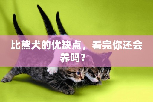 比熊犬的優缺點，看完你還會養嗎？ 