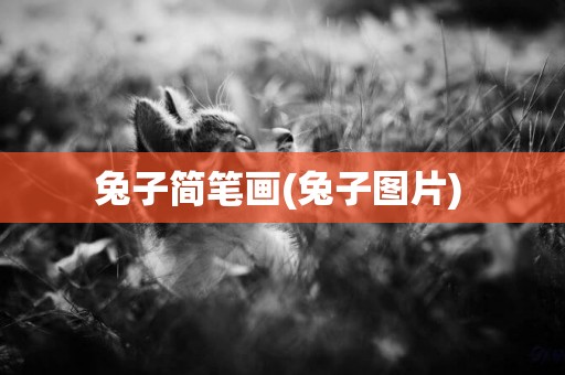 兔子簡筆畫(兔子圖片) 