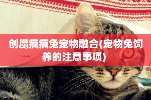 創魔瘋瘋兔寵物融合(寵物兔飼養的注意事項) 