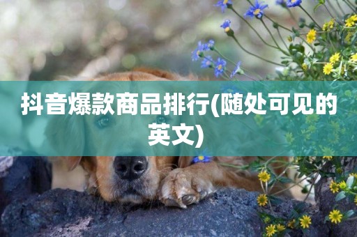 抖音爆款商品排行(隨處可見的英文) 