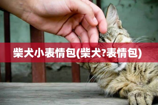 柴犬小表情包(柴犬?表情包) 