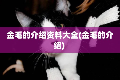 金毛的介紹資料大全(金毛的介紹) 