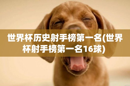 世界杯歷史射手榜第一名(世界杯射手榜第一名16球) 