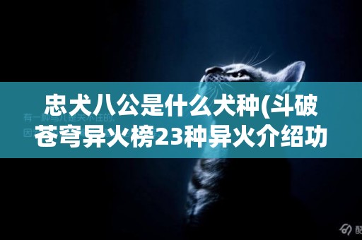忠犬八公是什么犬種(斗破蒼穹異火榜23種異火介紹功能) 