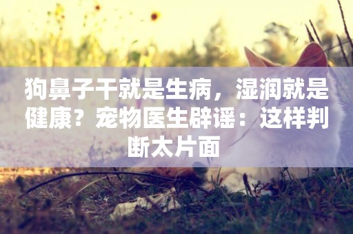 狗鼻子干就是生病，濕潤就是健康？寵物醫生辟謠：這樣判斷太片面 