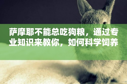 薩摩耶不能總吃狗糧，通過專業知識來教你，如何科學飼養 