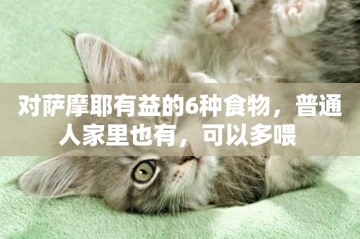 對薩摩耶有益的6種食物，普通人家里也有，可以多喂 