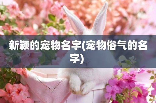 新穎的寵物名字(寵物俗氣的名字) 