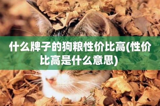 什么牌子的狗糧性價比高(性價比高是什么意思) 