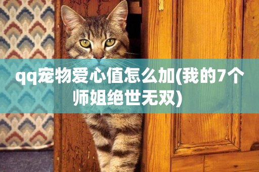 qq寵物愛心值怎么加(我的7個師姐絕世無雙) 