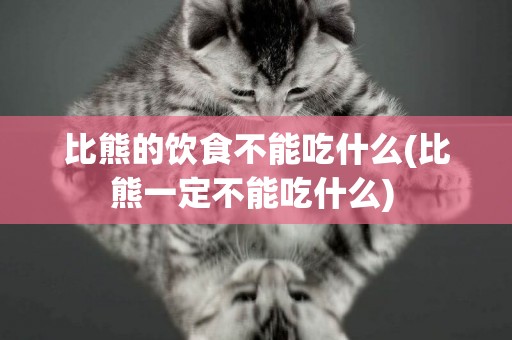 比熊的飲食不能吃什么(比熊一定不能吃什么) 
