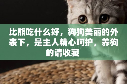 比熊吃什么好，狗狗美麗的外表下，是主人精心呵護，養狗的請收藏 