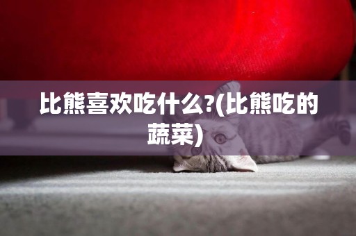 比熊喜歡吃什么?(比熊吃的蔬菜) 
