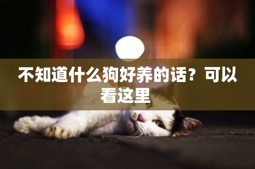 不知道什么狗好養的話？可以看這里 
