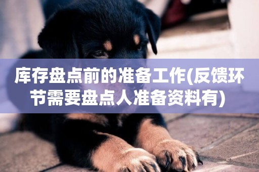 庫存盤點前的準備工作(反饋環節需要盤點人準備資料有) 