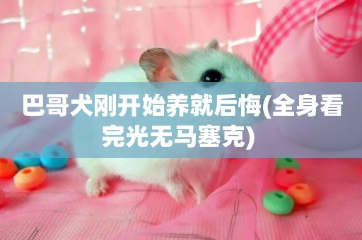 巴哥犬剛開始養就后悔(全身看完光無馬塞克) 