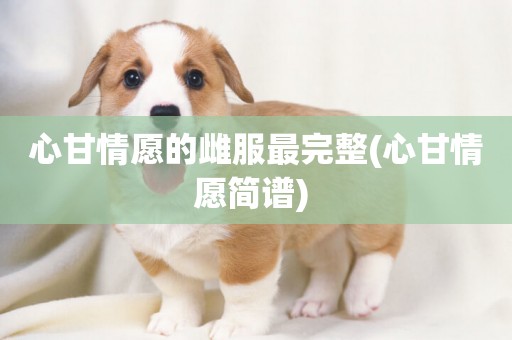 心甘情愿的雌服最完整(心甘情愿簡譜) 