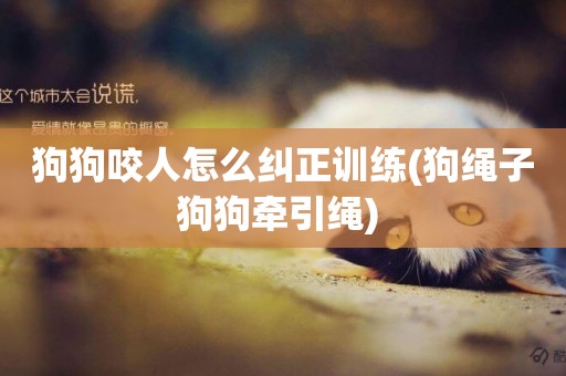 狗狗咬人怎么糾正訓練(狗繩子狗狗牽引繩) 