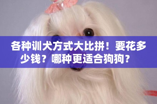 各種訓犬方式大比拼！要花多少錢？哪種更適合狗狗？ 