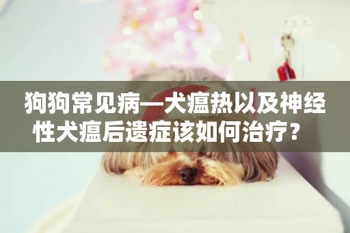 狗狗常見病—犬瘟熱以及神經性犬瘟后遺癥該如何治療？ 